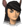 Avatar de Isarigo1