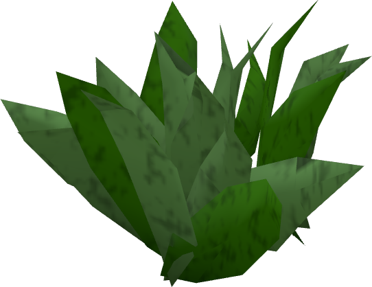Herbs (grown)
